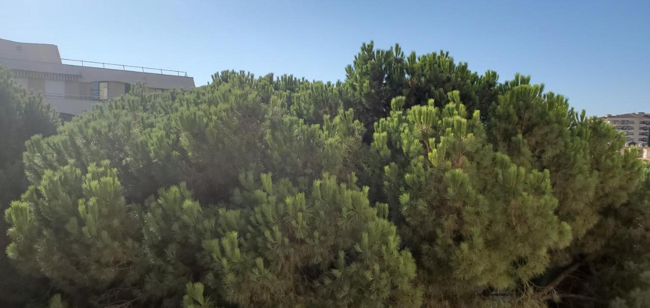 Frejus Plage La Miougrano, T2-3 49M2, 5 Personn Экстерьер фото